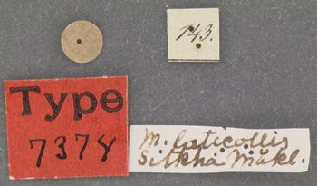 Media type: image;   Entomology 7374 Aspect: labels